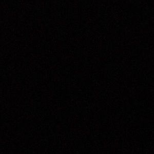 Meet your Posher, Wilmer